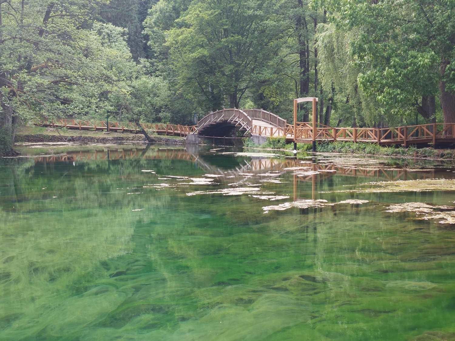 The spring of Bosnia – Sarajevo