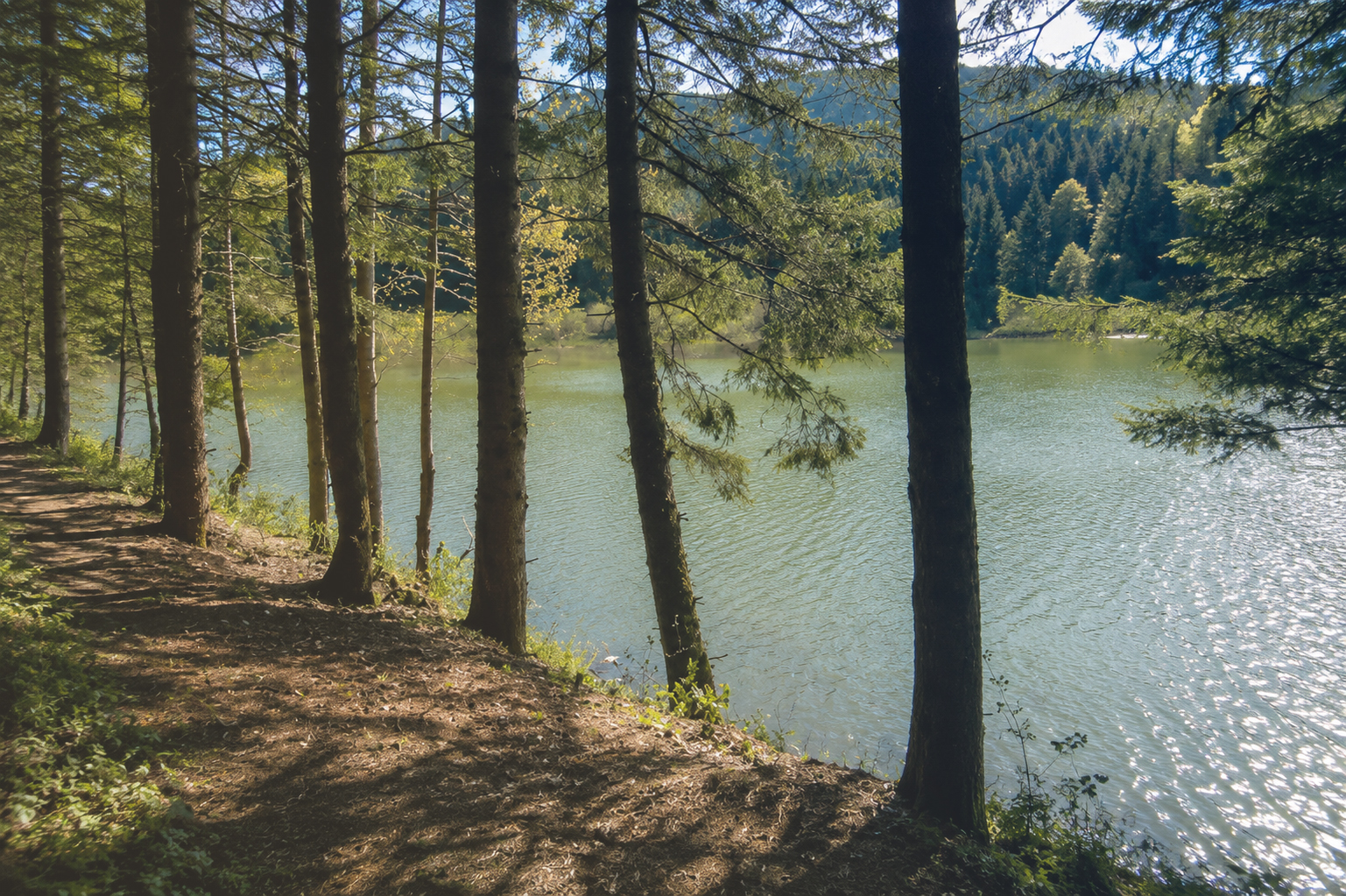 Busia – Glamoč