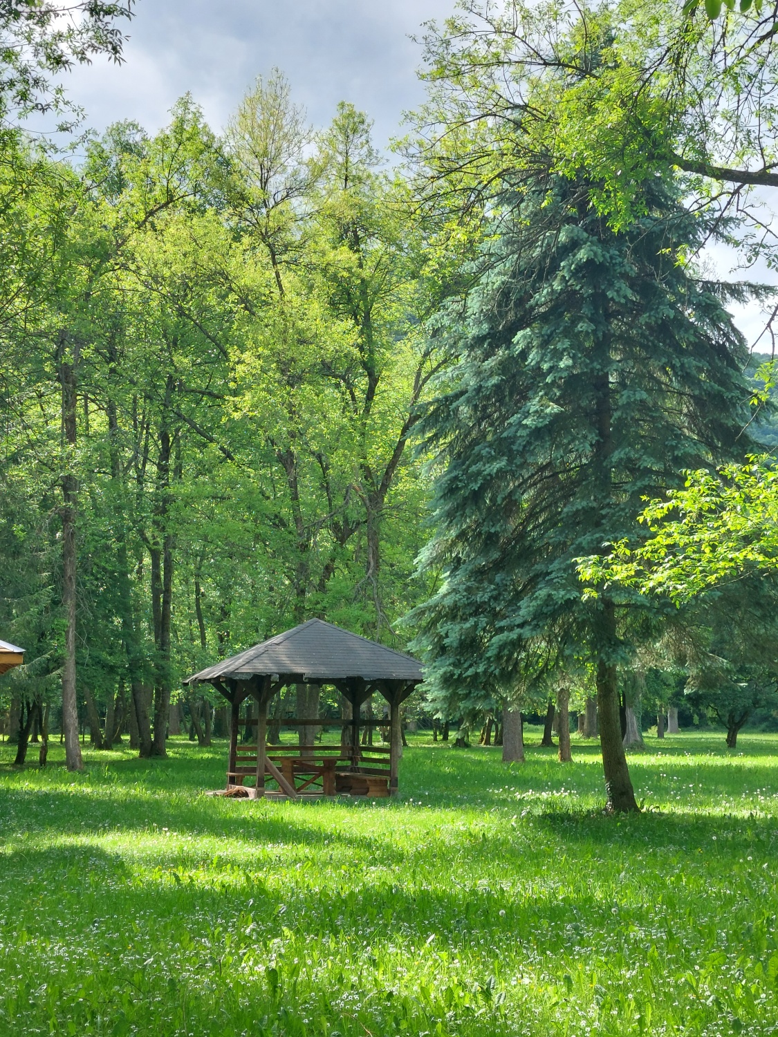 The spring of Bosnia – Sarajevo