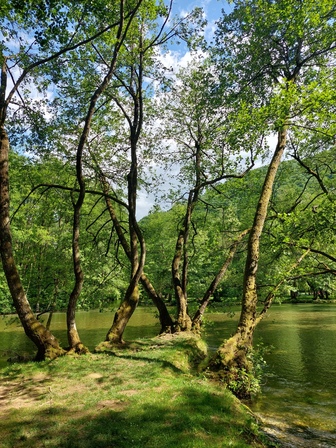 The spring of Bosnia – Sarajevo