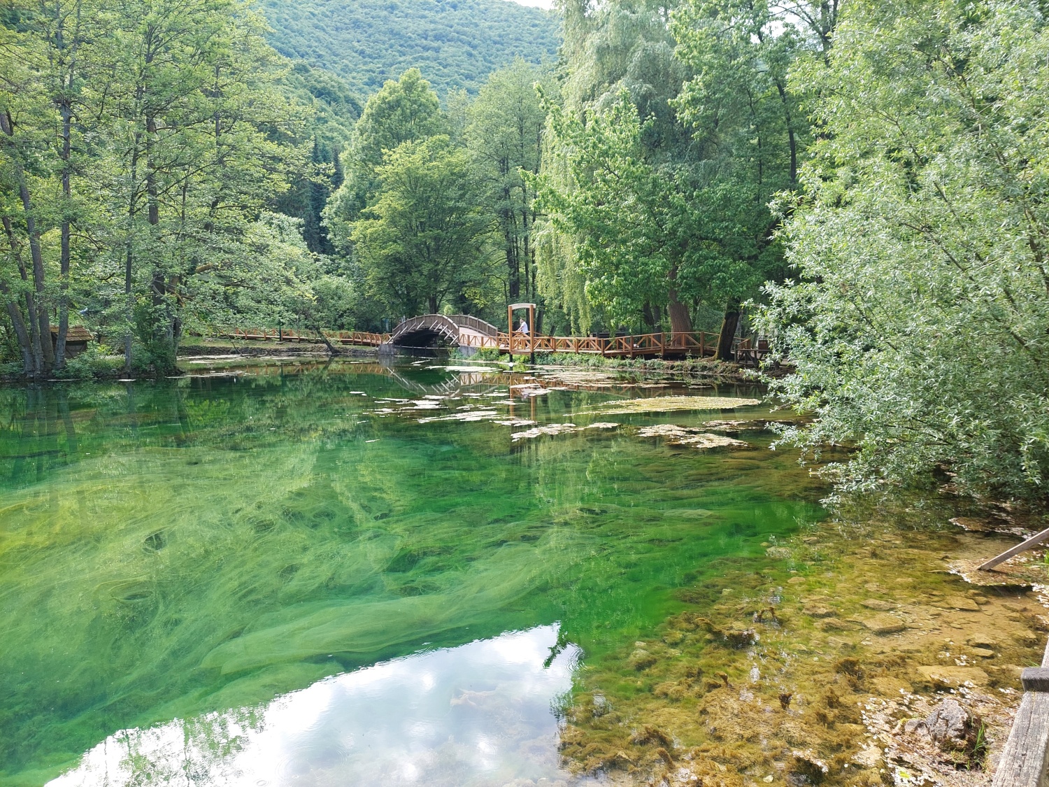 The spring of Bosnia – Sarajevo
